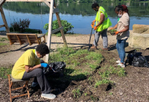 New Report Highlights the Success of Community-Led Public Spaces