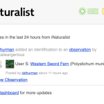 Screen-Shot-2021-04-29-at-4.56.54-PM