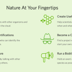 Screen-Shot-2021-04-29-at-5.35.49-PM