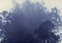 The View From Nathan’s Bus: Uptown Redwood