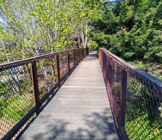 SDOT Considers Options for Replacing Bridge Connection to Ballard Locks