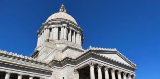 The Capitol building in Olympia is marble colored and include pillars and a dome in the classic style.