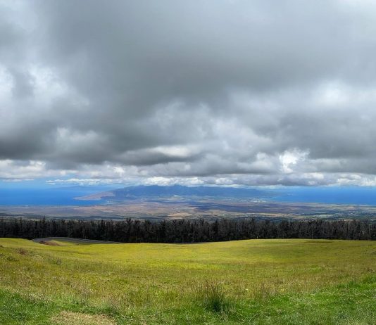 What We’re Reading: AFFH, RCV, and Euro Trends