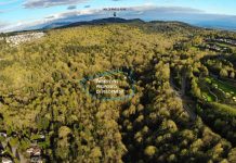 Bellevue Should Save Coal Creek from Sprawl Development