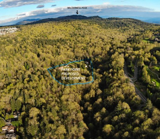 Bellevue Should Save Coal Creek from Sprawl Development