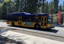 Metro Restoring Some Eastside Bus Service on Six Routes Starting June 26th