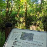 PXL_20210601_225125207