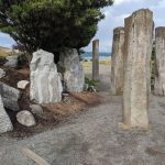 PXL_20210615_000408906