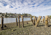 The Top 10 Street Ends of Ballard and Fremont