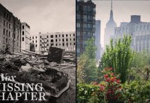 Sunday Video: How Radical Gardeners Took Back New York City