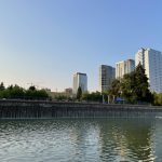 A view of a growing Downtown Bellevue from the city’s central park.