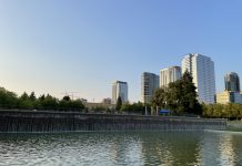 King County Sets 2044 Growth Targets with Seattle and Bellevue at the Top A view of a growing Downtown Bellevue from the city's central park.