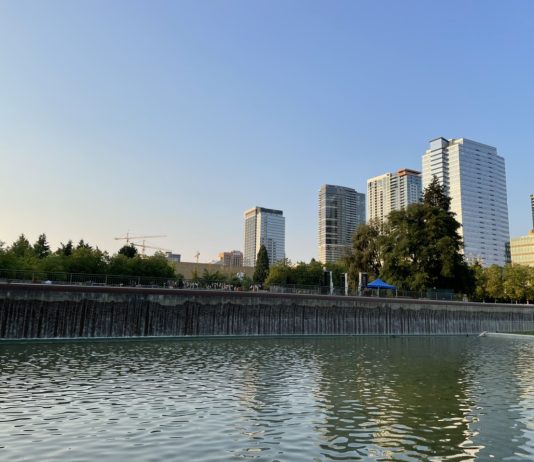 King County Sets 2044 Growth Targets with Seattle and Bellevue at the Top A view of a growing Downtown Bellevue from the city's central park.