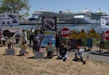 Environmental Advocates Condemn the Return of Cruise Ships to Seattle