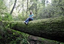 Introducing Our New Managing Editor Natalie Bicknell Argerious