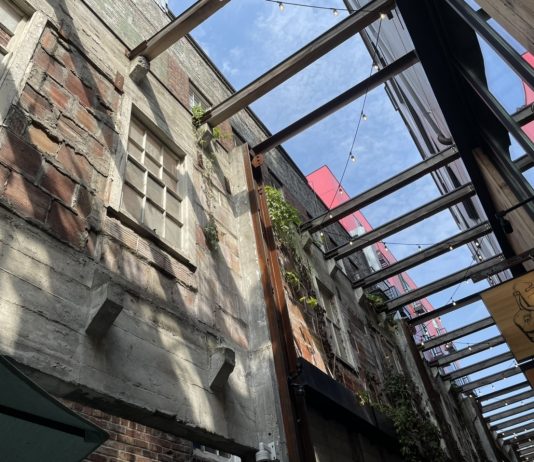 What We’re Reading: No Parking Minimums, Tree Train, and Maglev Architectural ambiance from above at Chophouse Row. (Credit: The Urbanist)