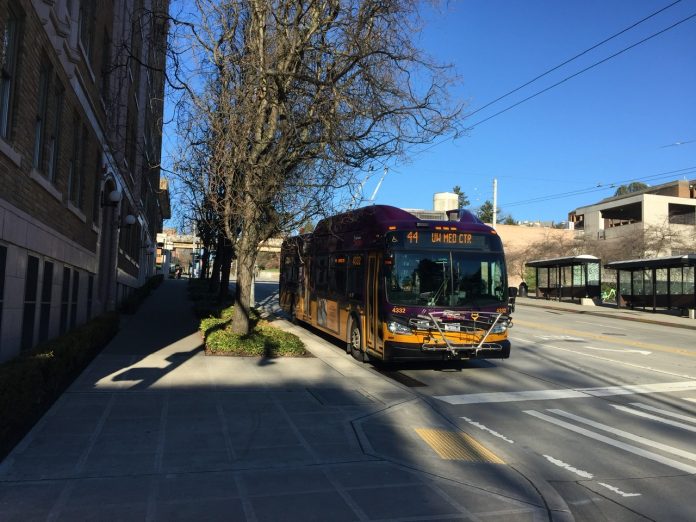 A Route 44 bus on 15th Ave NE.