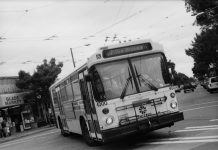 The View From Nathan’s Bus: Raskolnikov in a Beanie, or Shame and Legacy in the Days of COVID