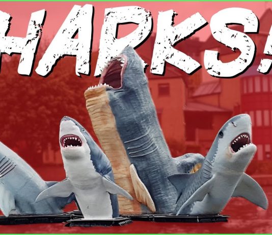 Midweek Video: The Battle of SHARKS!