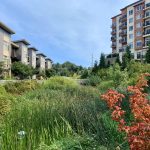 B261C8BB-BE03-4018-BC22-FBFD957A131E_1_201_a-min