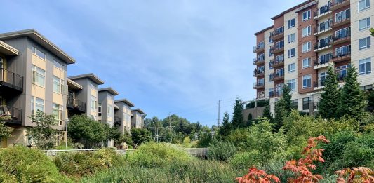 A photo of a natural wetland area between two tall apartment buildings.