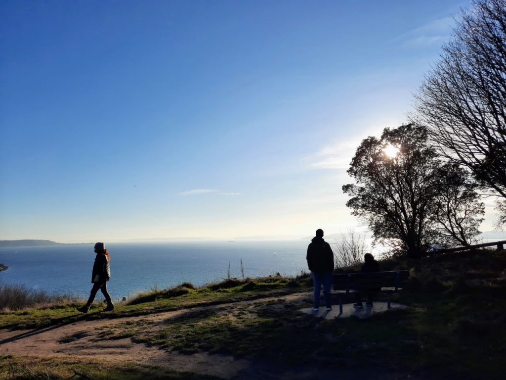 A view of Elliott Bay from the Magnolia Bluffs in Discovery Park. Parkgoers are silhouettes in the late afternoon sun.
