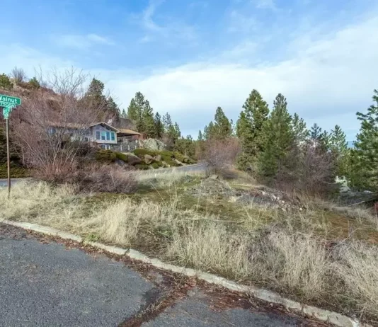 How the GMA’s Illegal Growth Loophole Works in Practice A photo shows an empty lot with tall grass on a suburban street.
