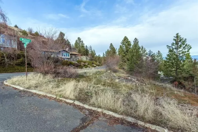 A photo shows an empty lot with tall grass on a suburban street.