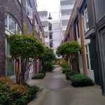 IMG_20210912_123127733_HDR