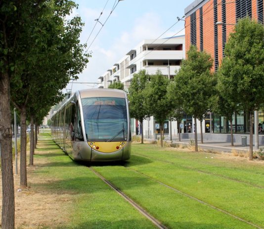Envisioning a Car-Free Aurora Avenue A modern tram runs along grass in Nice with midrise building and trees flanking.