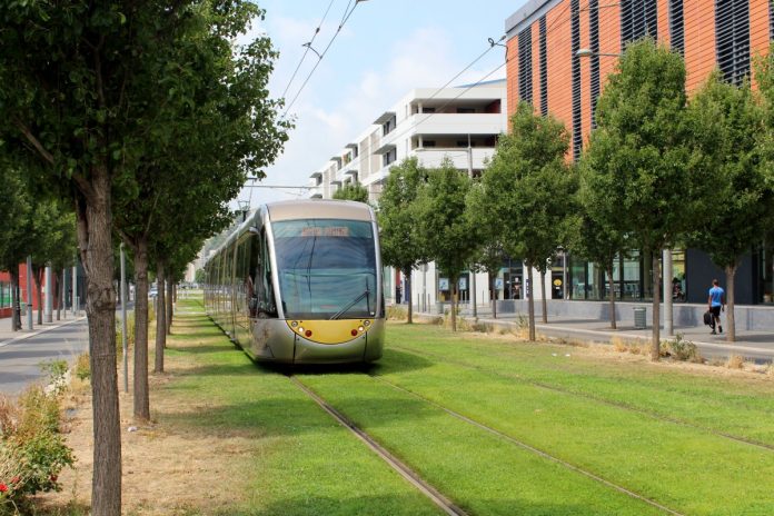 A turf-tracked tram in Nice, France A modern tram runs along grass in Nice with midrise building and trees flanking.