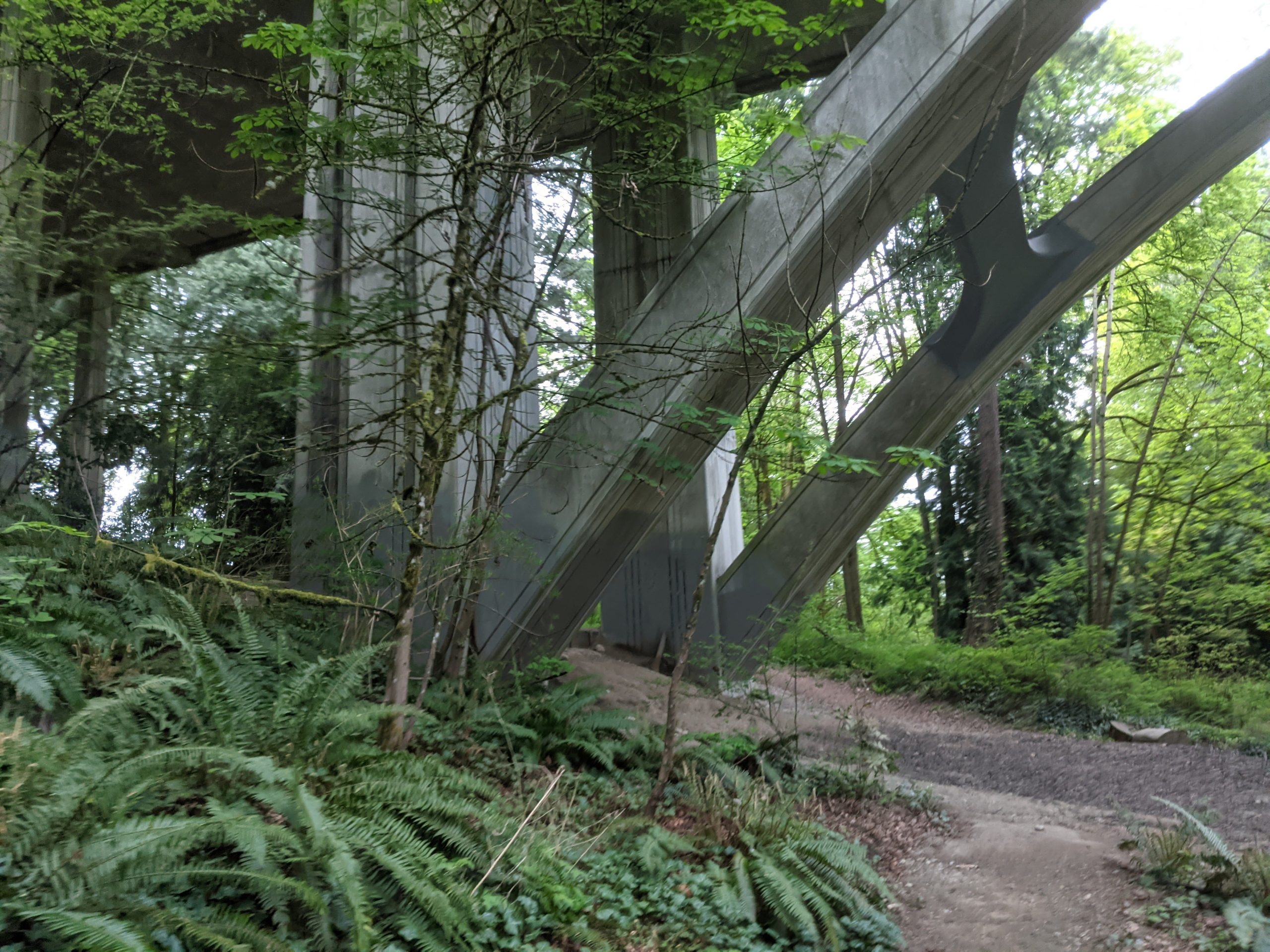 One of many bridges that run through Ravenna Park