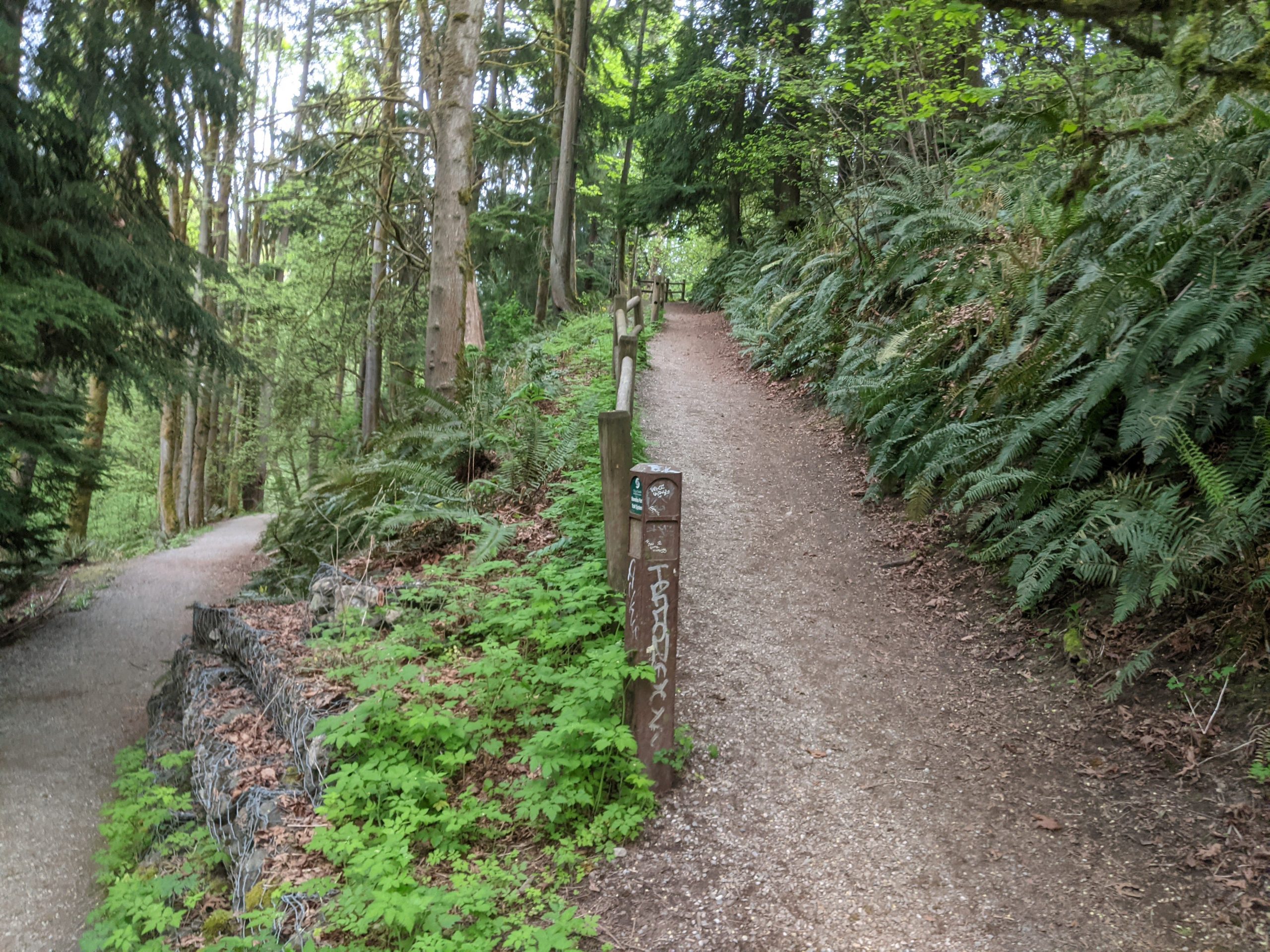Trails at Ravenna Park