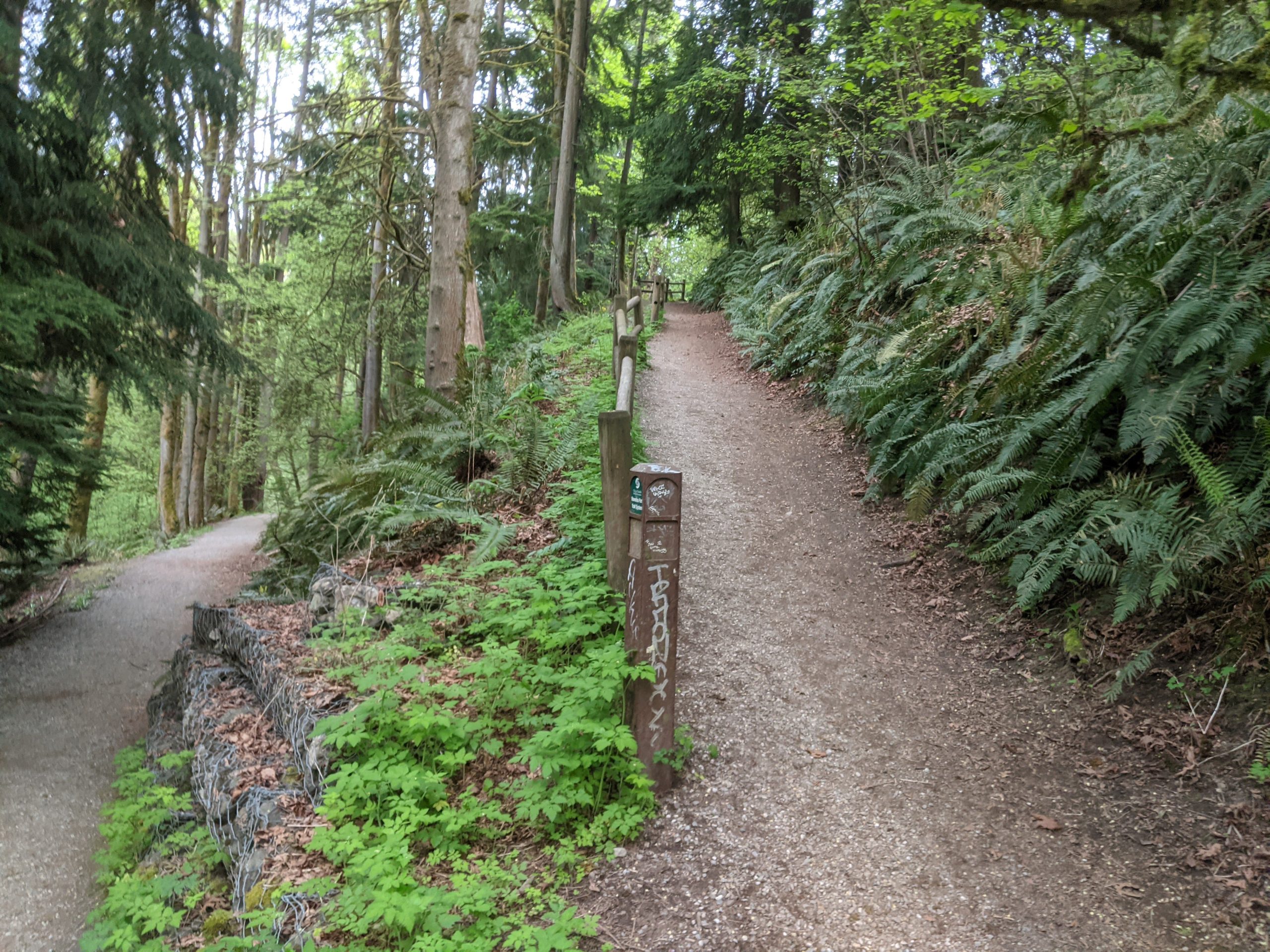 Trails at Ravenna Park