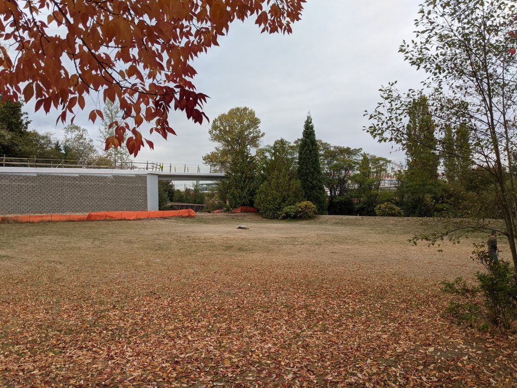 A photo of a large green space on North Seattle College's campus next to the John Lewis Memorial Bridge