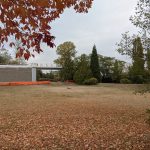 PXL_20210923_003630009