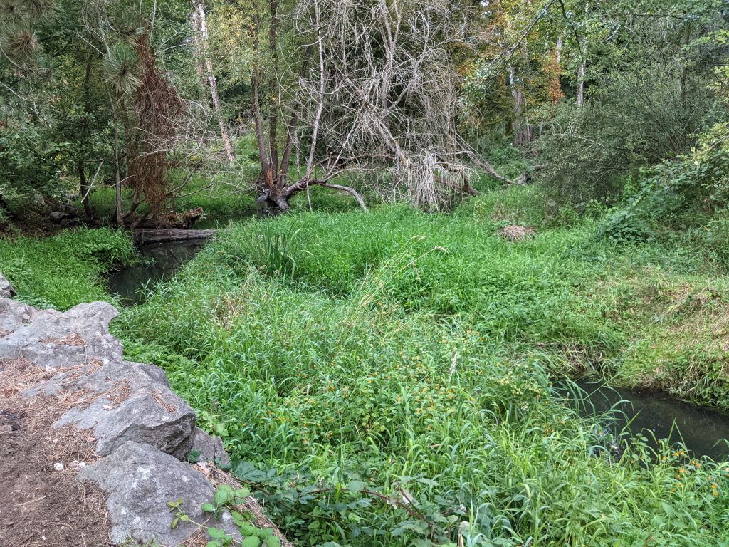 A photo of Beaver Pond Natural Area by Northgate Manor Apartments with Thornton Creek
