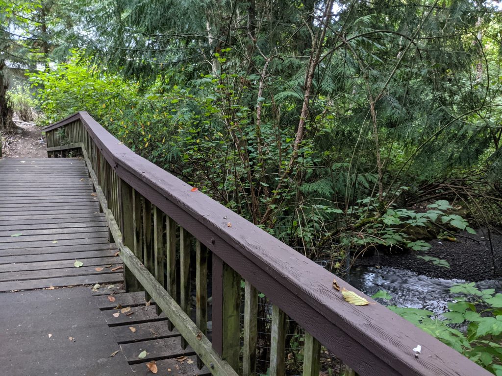 A photo of a bridge over Thornton Creek in the Beaver Pond Natural Area