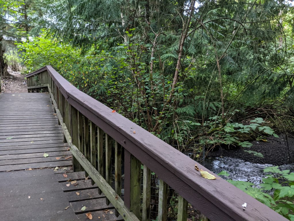 A photo of a bridge over Thornton Creek in the Beaver Pond Natural Area