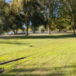 PXL_20210923_231742484