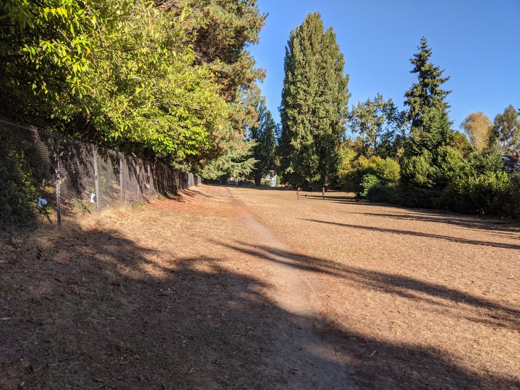 Froula Park at the north end of Roosevelt. Local dog owners are here playing with their dogs.