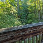 PXL_20210924_001355233