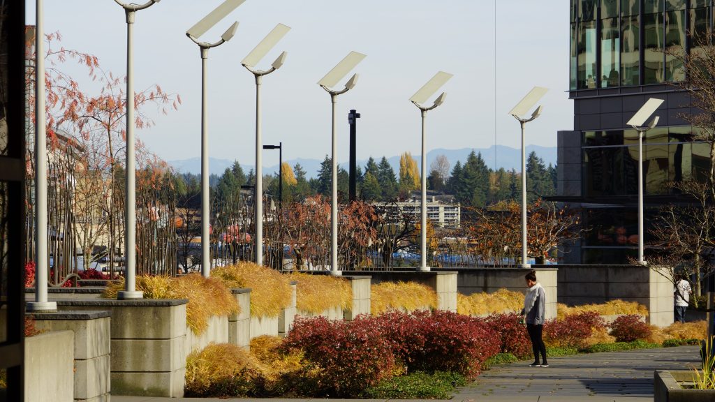 A photo fo the pedestrian walkway near the Bellevue Transit Center. 