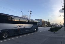 Cross-Border Transit Returning with Greyhound Service in November