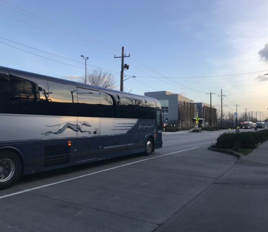 Cross-Border Transit Returning with Greyhound Service in November