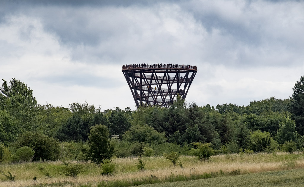 Photo of a wooden tower in a forest.