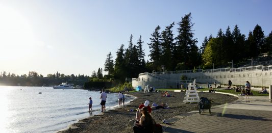 A photo of people sitting a small beach on a sunny day with evergreen trees in the background.