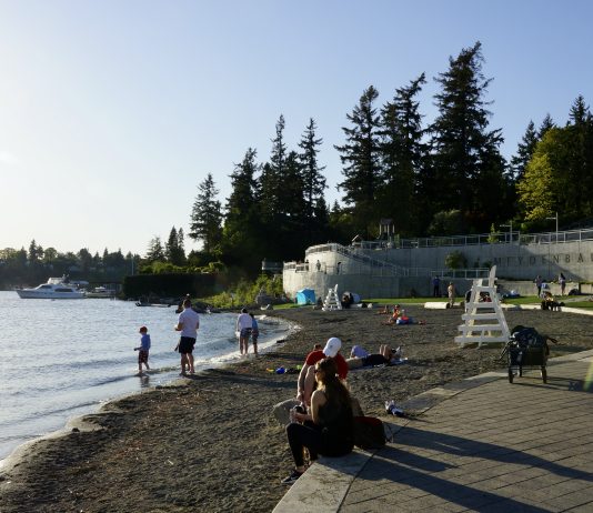 Improving Bellevue’s Grand Connection: Part 1 – Lake Washington and Main Street A photo of people sitting a small beach on a sunny day with evergreen trees in the background.