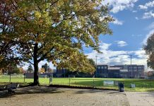 Keeping the Promise of the Garfield Super Block A photo of a tall tree and a paved area next to a large playfield.