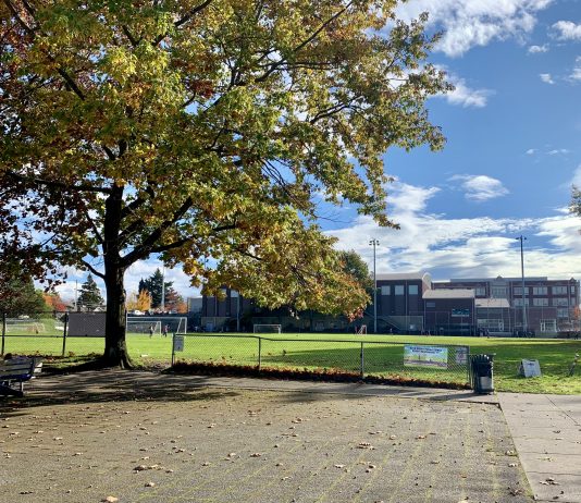 Keeping the Promise of the Garfield Super Block A photo of a tall tree and a paved area next to a large playfield.